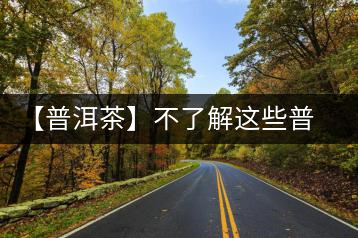 【普洱茶】不了解這些普洱茶概念，你還敢說你很懂易武茶