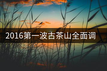 2016第一波古茶山全面調(diào)研第四站——臨滄·大雪山、小戶賽