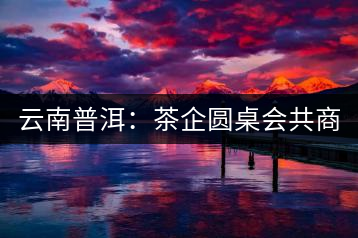 云南普洱：茶企圓桌會共商“現(xiàn)在·未來
