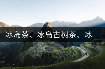 冰島茶、冰島古樹茶、冰島茶區(qū)茶、冰島茶區(qū)古樹茶