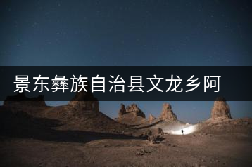 景東彝族自治縣文龍鄉(xiāng)阿才茶廠(chǎng)