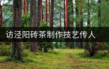 訪涇陽磚茶制作技藝傳人、陜西省非遺傳承人賈根社