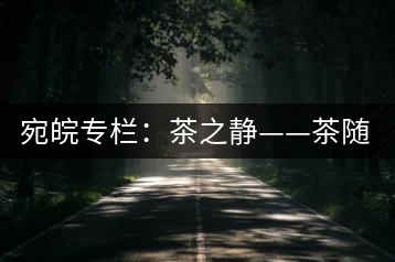 宛皖專欄:茶之靜——茶隨我而靜