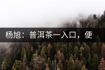 楊旭：普洱茶一入口，便知產(chǎn)地和年份
