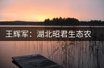 王輝軍:湖北昭君生態(tài)農(nóng)業(yè)有限公司董事長(zhǎng)