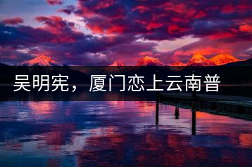 吳明憲,廈門(mén)戀上云南普洱茶