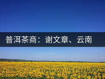 普洱茶商：謝文章、云南谷申商貿(mào)有限公司總經(jīng)理