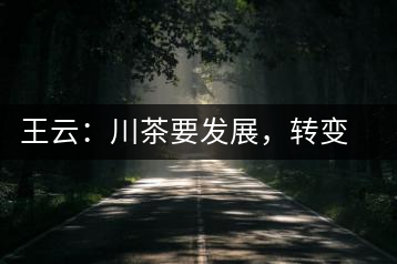 王云：川茶要發(fā)展，轉(zhuǎn)變思想是關(guān)鍵