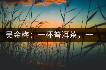 吳金梅：一杯普洱茶，一份云南情