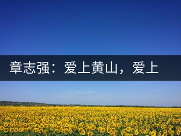 章志強(qiáng)：愛(ài)上黃山，愛(ài)上黃山的茶