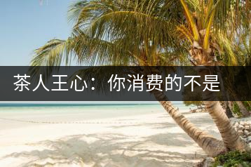 茶人王心：你消費的不是茶，是我