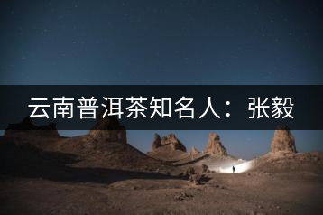 云南普洱茶知名人：張毅