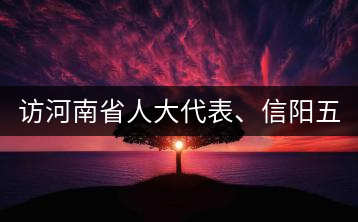 訪河南省人大代表、信陽五岳集團(tuán)董事長胡鎮(zhèn)——茶鄉(xiāng)亦飄茶油香