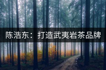 陳浩東:打造武夷巖茶品牌 弘揚(yáng)中華茗茶文化