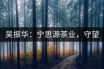 吳振華：寧思源茶業(yè)，守望家鄉(xiāng) 做好“金獎茶王”