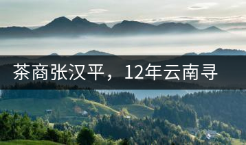 茶商張漢平，12年云南尋茶路