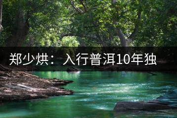鄭少烘:入行普洱10年獨(dú)鐘“易武山頭”