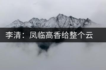 李清:鳳臨高香給整個云茶產(chǎn)業(yè)做廣告