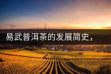 易武普洱茶的發(fā)展簡史，昔日的貢茶如今依然輝煌