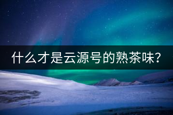 什么才是云源號的熟茶味？