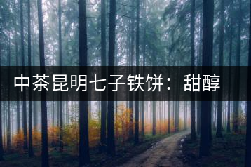 中茶昆明七子鐵餅：甜醇甘潤(rùn)，陳韻綿長(zhǎng)