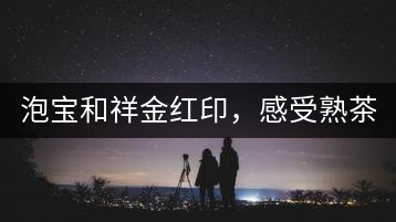 泡寶和祥金紅印，感受熟茶之美。