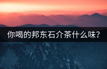 你喝的邦東石介茶什么味？