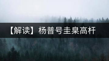 【解讀】楊普號(hào)圭臬高桿茶：形高、氣足、韻遠(yuǎn)的一款茶