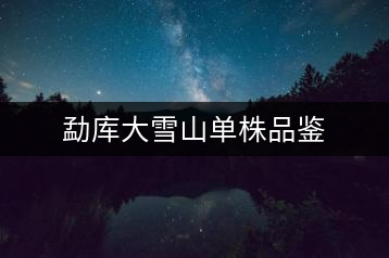 勐庫(kù)大雪山單株品鑒