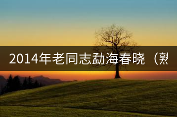 2014年老同志勐海春曉(熟餅)