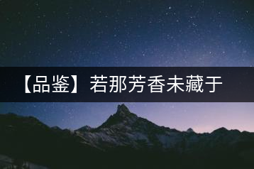 【品鑒】若那芳香未藏于樟野，怎會這般獨具韻味？