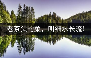 老茶頭的柔，叫細(xì)水長流！