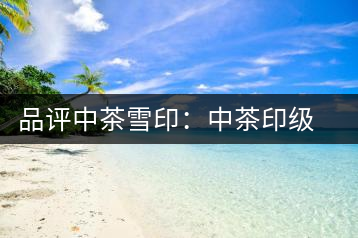 品評中茶雪?。褐胁栌〖壊璧慕?jīng)典傳承