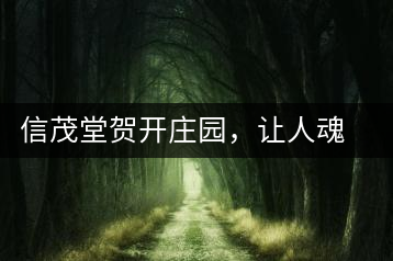 信茂堂賀開莊園，讓人魂?duì)繅?mèng)繞的名山古樹茶