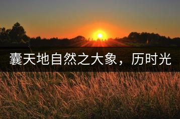 囊天地自然之大象，歷時(shí)光十載流轉(zhuǎn)-皇茶一號(hào)