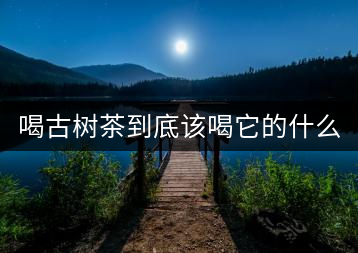 喝古樹茶到底該喝它的什么？