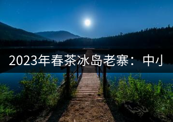 2023年春茶冰島老寨：中小樹混采2500-3000元／公斤，大樹：7000-8000元／公斤，古樹混采：28000-36000元／公斤