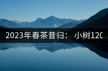 2023年春茶昔歸： 小樹(shù)1200-1600元／公斤，大樹(shù)4500-5200元／公斤，古樹(shù)7500-9000元／公斤.