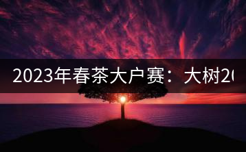 2023年春茶大戶賽：大樹(shù)200-300元／公斤，古樹(shù)800-1000元／公斤