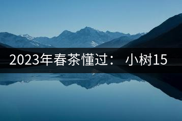 2023年春茶懂過(guò)： 小樹(shù)150元／公斤, 古樹(shù)400-600元／公斤