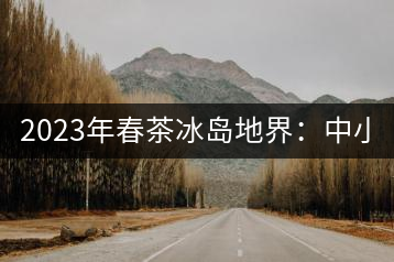 2023年春茶冰島地界：中小樹1300-1500元／公斤，古樹2200~2500元／公斤