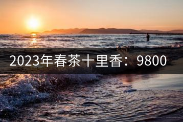 2023年春茶十里香：9800-12000元／公斤，十里香紅茶：9800-12000元／公斤
