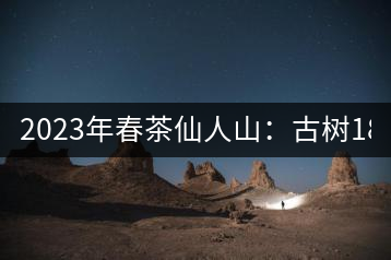 2023年春茶仙人山：古樹1800-2500元／公斤，老曼峨：小樹：600元／公斤 1600-1800元／公斤