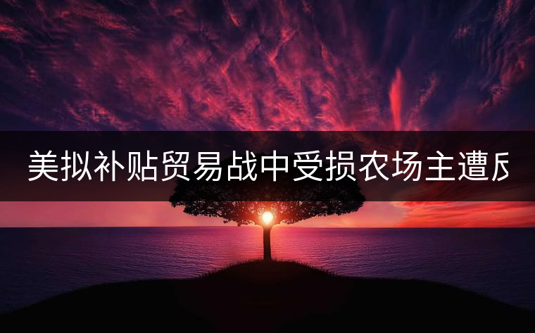 美擬補(bǔ)貼貿(mào)易戰(zhàn)中受損農(nóng)場主遭反對(duì): 只要市場 美擬補(bǔ)貼貿(mào)易戰(zhàn)中受損農(nóng)場主遭反對(duì): 只要市場