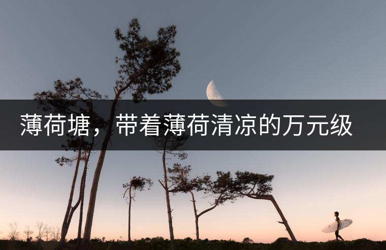 薄荷塘，帶著薄荷清涼的萬元級普洱