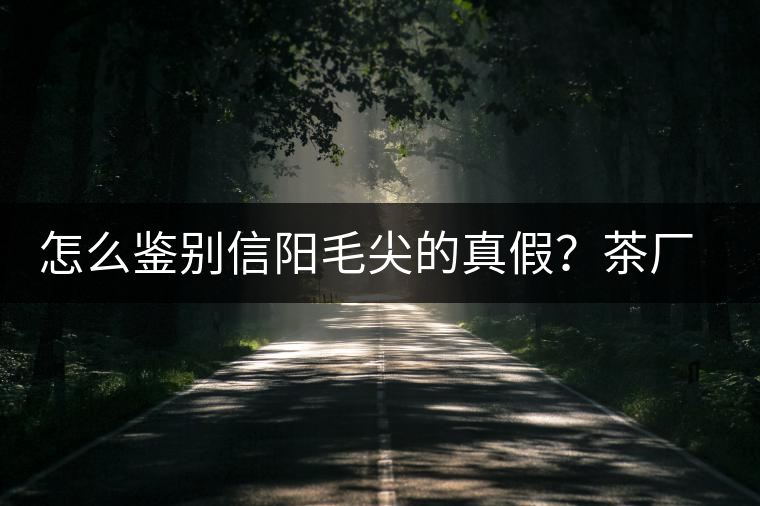 怎么鑒別信陽毛尖的真假?茶廠小姐姐親自告訴你茶葉的等級(jí) 怎么鑒別信陽毛尖的真假?茶廠小姐姐親自告訴你茶葉的等級(jí)