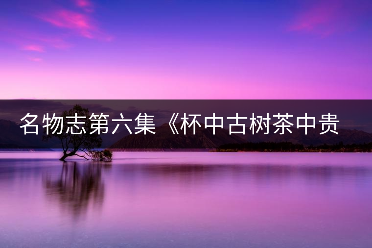名物志第六集《杯中古樹(shù)茶中貴族》冰島老寨中的神秘密碼 名物志第六集《杯中古樹(shù)茶中貴族》冰島老寨中的神秘密碼