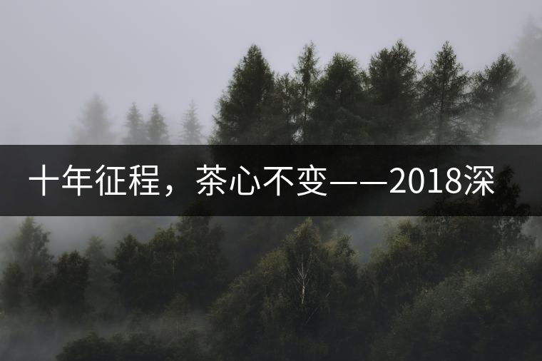 十年征程，茶心不變——2018深圳秋季茶博會12月13日隆重開幕！