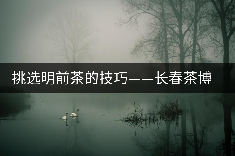 挑選明前茶的技巧——長春茶博會(huì)