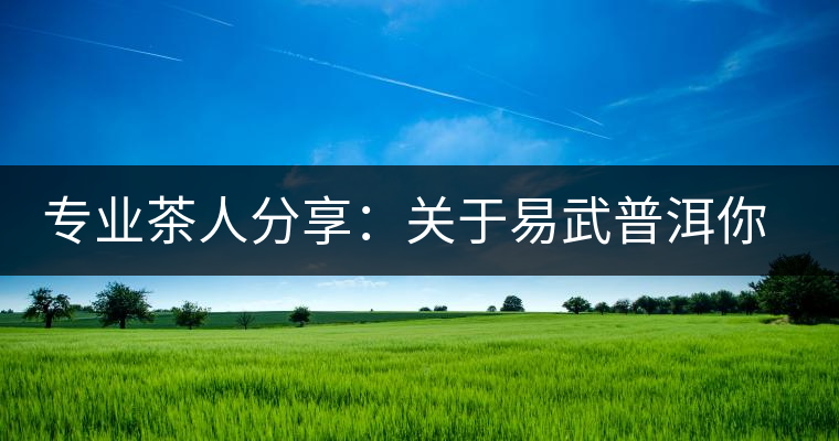 專業(yè)茶人分享:關(guān)于易武普洱你不可不知的幾大方面 專業(yè)茶人分享:關(guān)于易武普洱你不可不知的幾大方面
